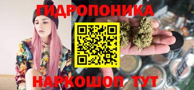 мяу мяу мука Новозыбков